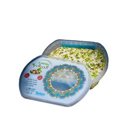 Almenal 700 gr Antep Fıstıklı Tahin Helva