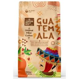Altıntelve Coffee 250 gr Bean Box Guatemala Original Filtre Kahve