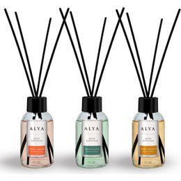 Alya 3x100 ml Egzotic Leaves + Woody Oriental + Tropic Breeze Bambu Çubuklu Oda Kokusu
