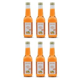 Ancora 250 ml Portakal Suyu