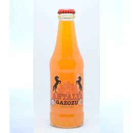 Antalya Gazozu 250 ml Mandalina Aromalı Gazoz