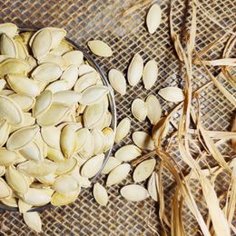 Antep Bakkalım 500 gr Tuzlu Kabak Çekirdeği