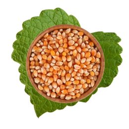 Antik Kuruyemiş 500 gr Patlatmalık Mısır