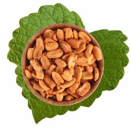 Antik Kuruyemiş 500 gr Soslu Fıstık