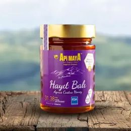 Apimaya 455 gr Kaz Dağları Hayıt Balı