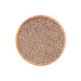 Astera 50 gr Tane Karnıyarık Otu Tohumu