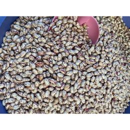 Atayname 1 kg Renkli Barbunya