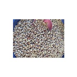 Atayname 1 kg Renkli Barbunya