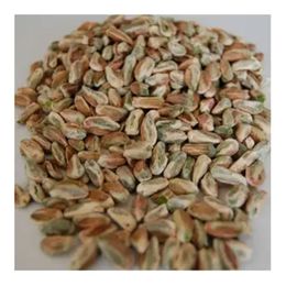 Ayıntap Baharat 100 gr Baklavalık Tane Boz Fıstık