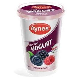 Aynes Orman Meyveli 500 gr Yoğurt
