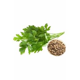 Ayvalık Baharat 100 gr Maydanoz Tohumu