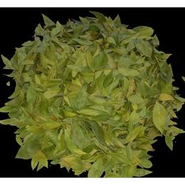 Ayvalık Baharat 200 gr Mersin Yaprağı