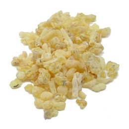Ayvalık Baharat 200 gr Sandaloz Sakızı