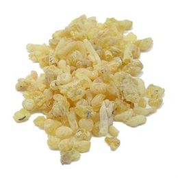 Ayvalık Baharat 200 gr Sandaloz Sakızı