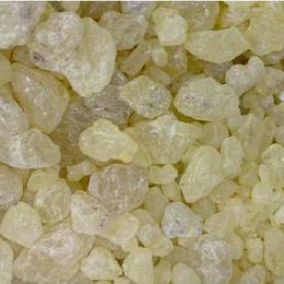 Ayvalık Baharat 200 gr Sandaloz Sakızı