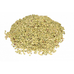 Ayvalık Baharat 250 gr Bilye Kekik