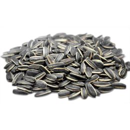 Ayvalık Baharat 250 gr Dakota Tuzsuz Çekirdek