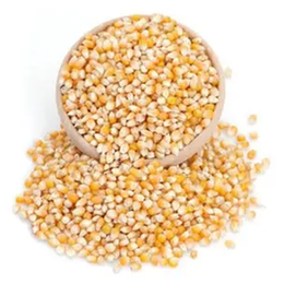 Ayvalık Baharat 500 gr Cin Mısır