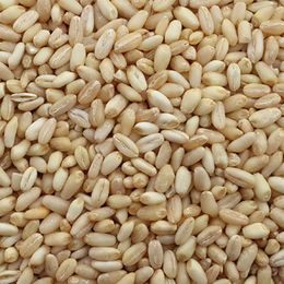 Bakliyat 1 kg Yarma Buğday