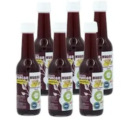 Beferment Organik Zencefilli Pancar Kvass