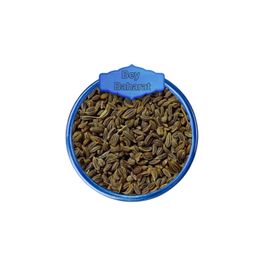 Bey Baharat 50 gr Maydanoz Tohumu