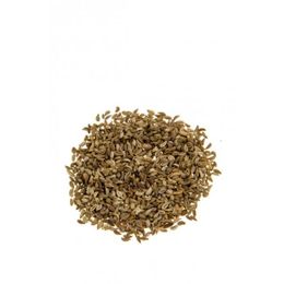 Bey Baharat 50 gr Maydanoz Tohumu