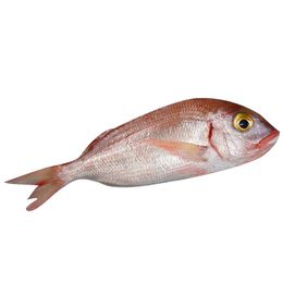 Beyaz Et 1 kg Mercan Balığı