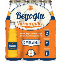 Beyoğlu 250 ml Turuncu Gazozu