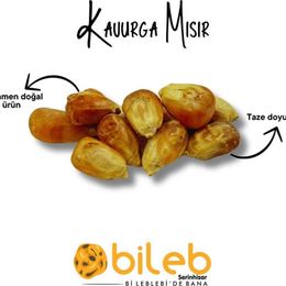 Bileb Serinhisar 1 kg Kavurga Mısır