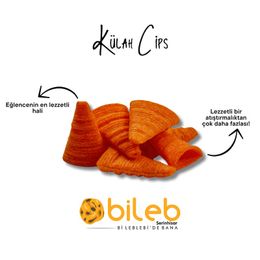 Bileb Serinhisar 200 gr Külah Cips
