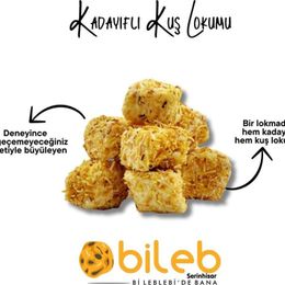 Bileb Serinhisar 250 gr Fıstıklı Kakaolu Hindistan Cevizli Kuş Lokumu