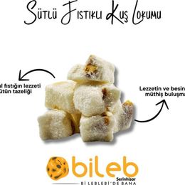 Bileb Serinhisar 250 gr Fıstıklı Kakaolu Hindistan Cevizli Kuş Lokumu