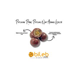 Bileb Serinhisar 250 gr Patlayan Pirinç Patlaklı Nar Aromalı Leblebi