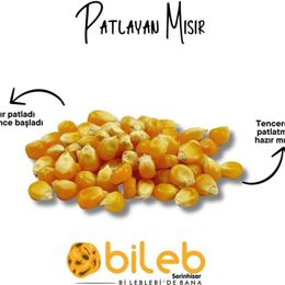 Bileb Serinhisar 400 gr Patlayan Mısır