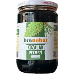 Binnebat 800 gr Kozalak Pekmezi