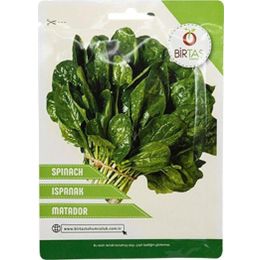 Birtaş 1 kg Ispanak Tohumu