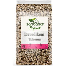 Bitki Baba 100 gr Deve Dikeni Tohumu