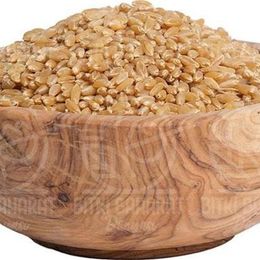 Bitki Baharat Dünyası 500 gr Diş Buğdayı
