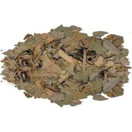Botanik Sağlık 100 gr Avokado Yaprağı