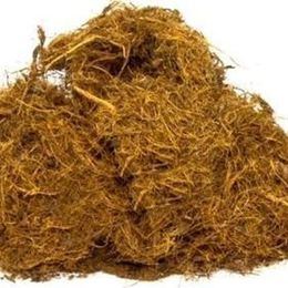 Botanik Sağlık 100 gr Tiftik Meyankökü