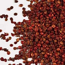 Botanik Sağlık 250 gr Dökme Baharat Tane Sumak