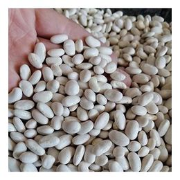Bozkırım 1 kg Kuru Fasulye