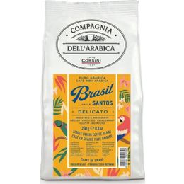 Caffe Corsini 250 gr Brezilya Santos Arabica Çekirdek Kahve