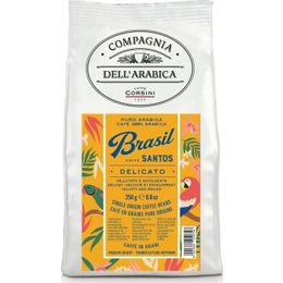 Caffe Corsini 250 gr Brezilya Santos Arabica Çekirdek Kahve