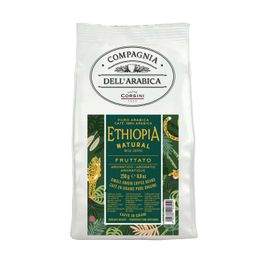 Caffe Corsini 250 gr Etiyopya Arabica Çekirdek Kahve
