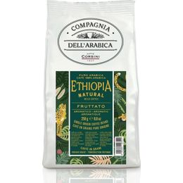 Caffe Corsini 250 gr Etiyopya Arabica Çekirdek Kahve