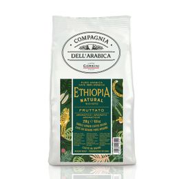 Caffe Corsini 250 gr Etiyopya Arabica Çekirdek Kahve