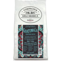 Caffe Corsini 250 gr Guatemala Arabica Çekirdek Kahve