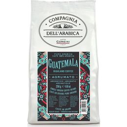 Caffe Corsini 250 gr Guatemala Arabica Çekirdek Kahve
