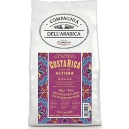 Caffe Corsini 250 gr Kosta Rika Altura Arabica Çekirdek Kahve
